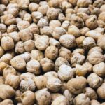 Garbanzo