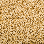 Sorgo